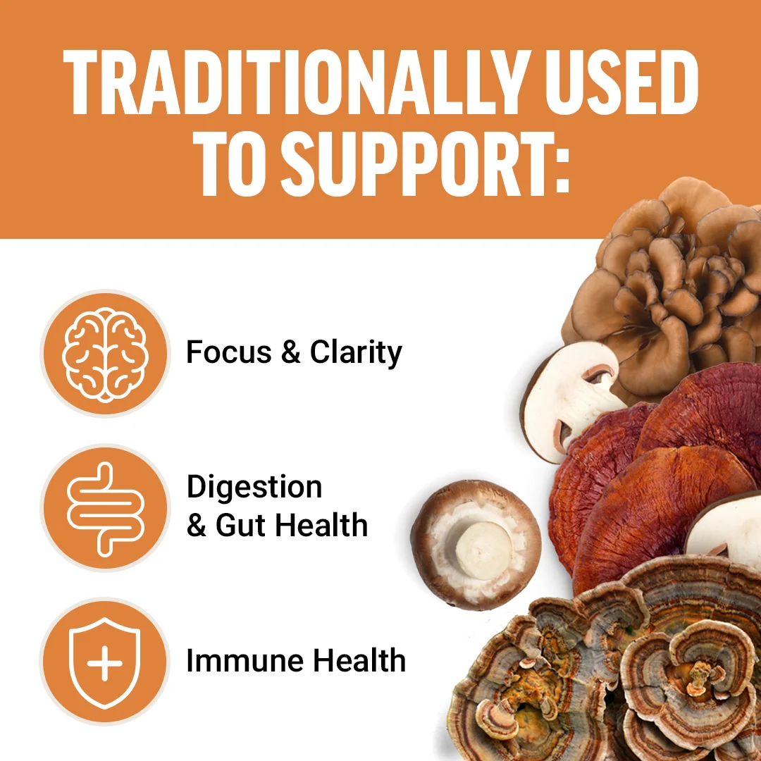 Modern Mushrooms – Force Factor (60 gomitas superfood) - Image 3