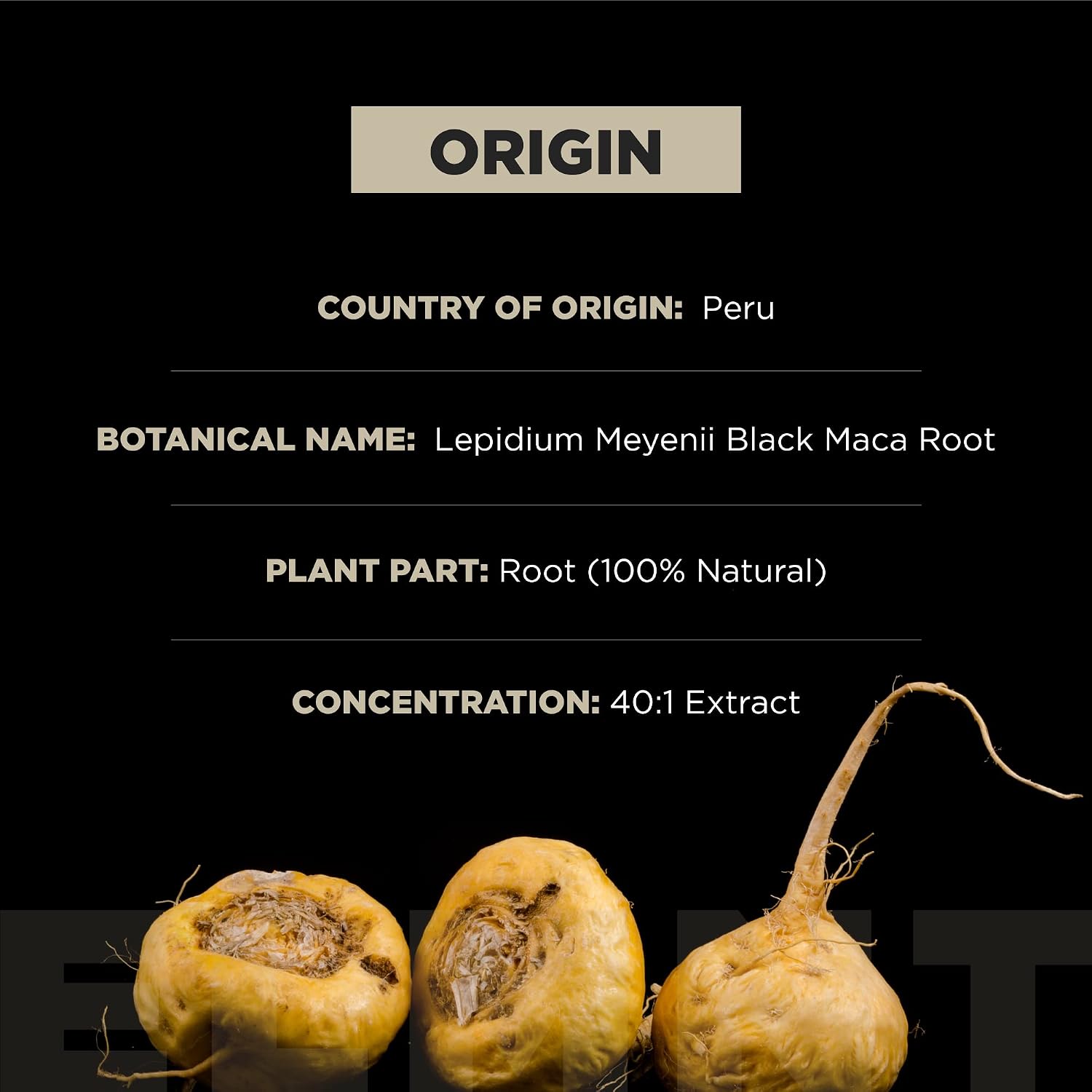 TERRA ELMNT BLACK MACA ASHWAGANDHA 60 CÁPSULAS - Image 4